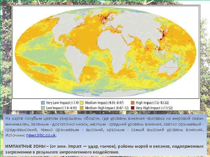На карте голубым цветом закрашены области, где уровень влияния человека на мировой океан минимален,