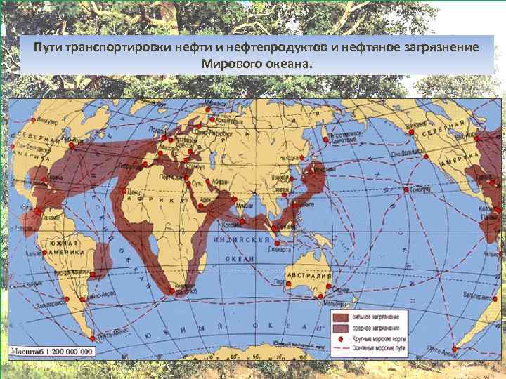 Карта загрязнения мирового океана