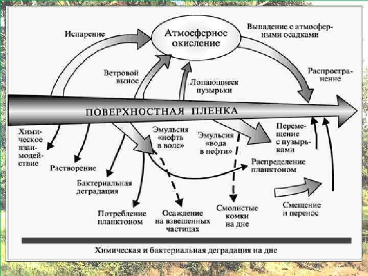 Антропогенное воздействие на гидросферу