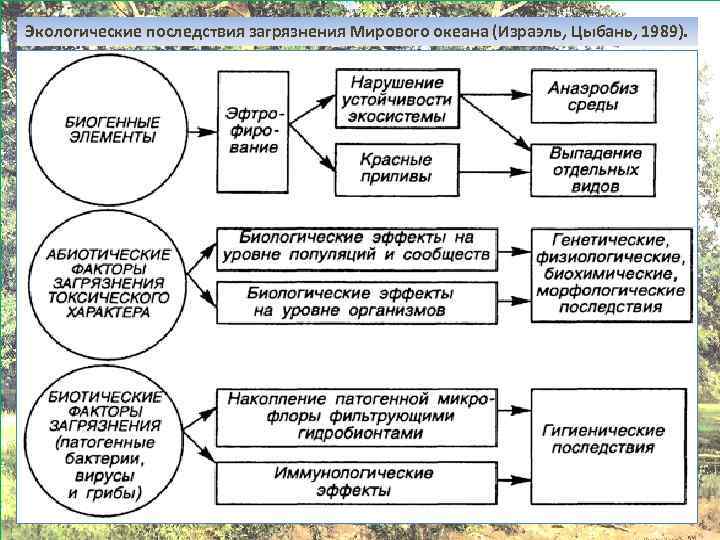 Схема загрязнения мирового океана