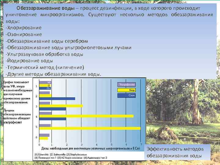 Обеззараживание воды – процесс дезинфекции, в ходе которого происходит уничтожение микроорганизмов. Существуют несколько методов