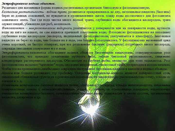Эвтрофирование водных объектов. Различают две жизненные формы водных растительных организмов: бентосную и фитопланктонную. Бентосная