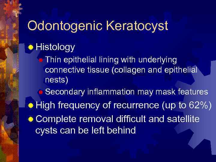 Odontogenic Keratocyst ® Histology ® Thin epithelial lining with underlying connective tissue (collagen and