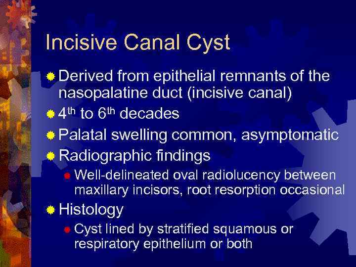 Incisive Canal Cyst ® Derived from epithelial remnants of the nasopalatine duct (incisive canal)
