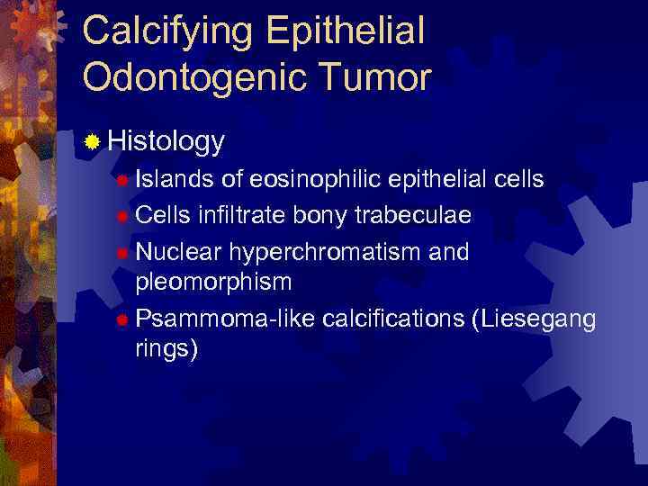 Calcifying Epithelial Odontogenic Tumor ® Histology ® Islands of eosinophilic epithelial cells ® Cells