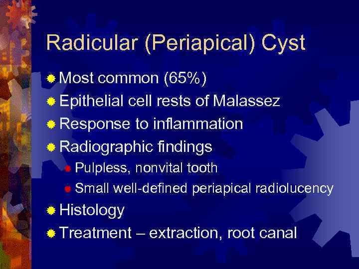 Radicular (Periapical) Cyst ® Most common (65%) ® Epithelial cell rests of Malassez ®
