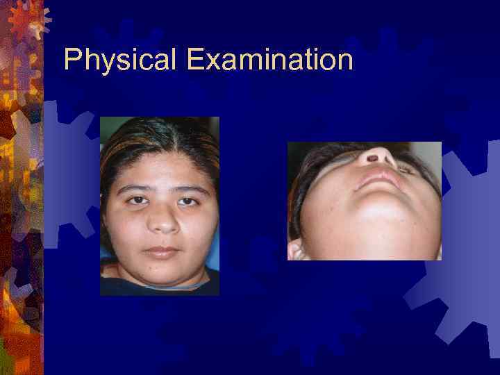 Physical Examination 