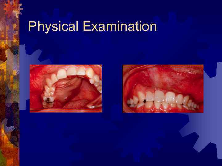 Physical Examination 