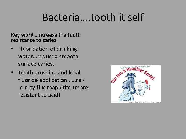 Bacteria…. tooth it self Key word…increase the tooth resistance to caries • Fluoridation of