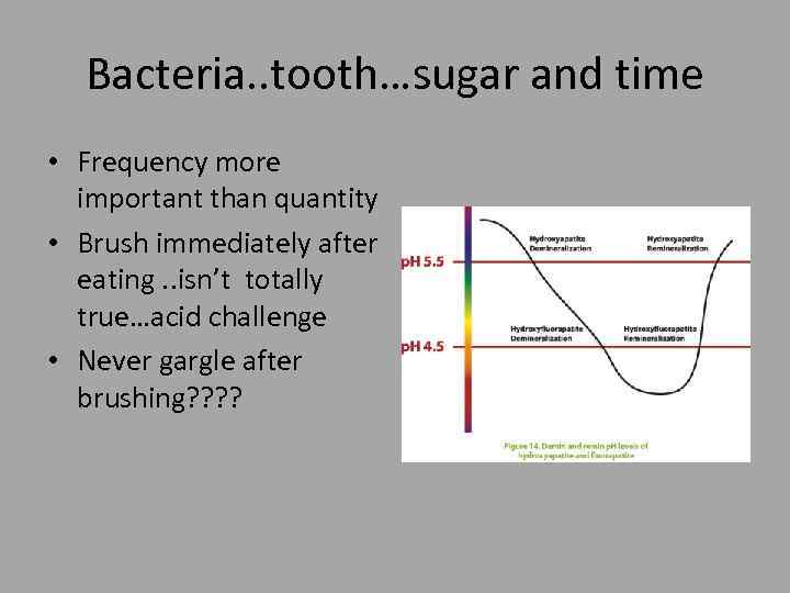 Bacteria. . tooth…sugar and time • Frequency more important than quantity • Brush immediately