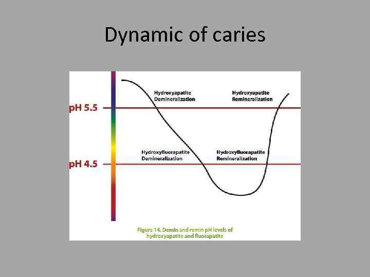 Dynamic of caries 