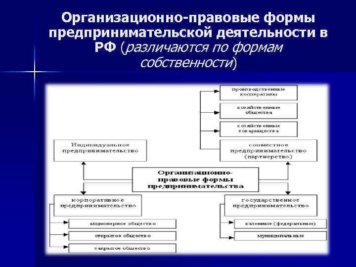 Организационные правовые формы управления