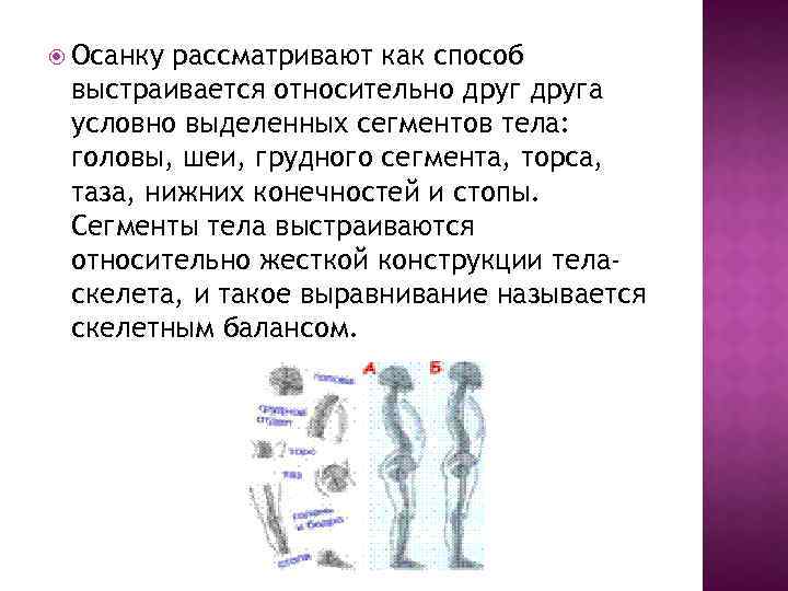  Осанку рассматривают как способ выстраивается относительно друга условно выделенных сегментов тела: головы, шеи,