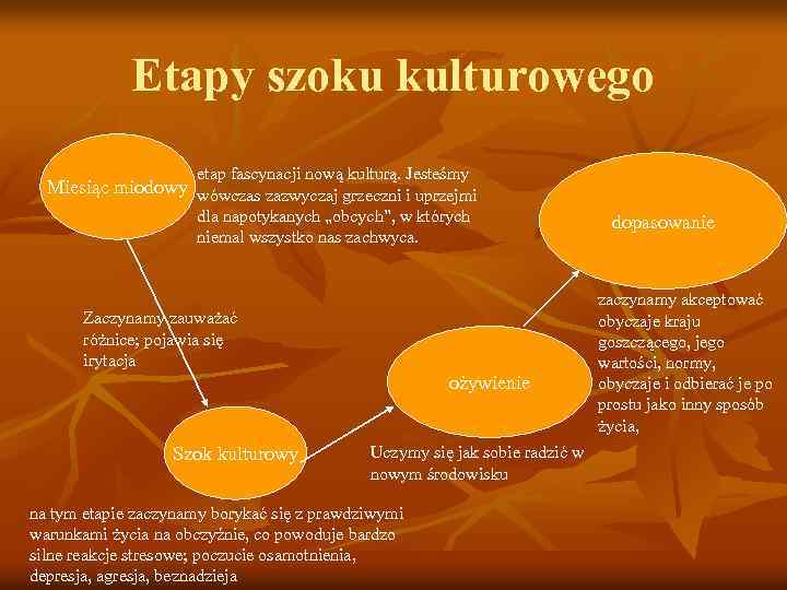Etapy szoku kulturowego etap fascynacji nową kulturą. Jesteśmy Miesiąc miodowy wówczas zazwyczaj grzeczni i