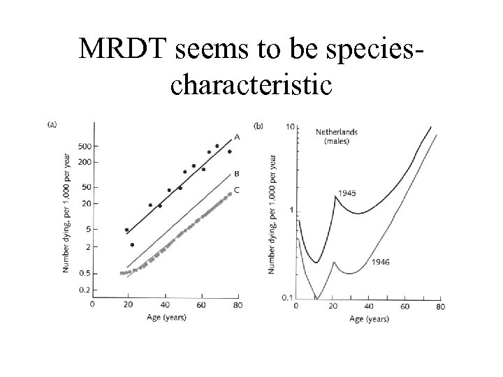 MRDT seems to be speciescharacteristic 