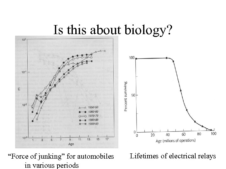 Is this about biology? “Force of junking” for automobiles in various periods Lifetimes of