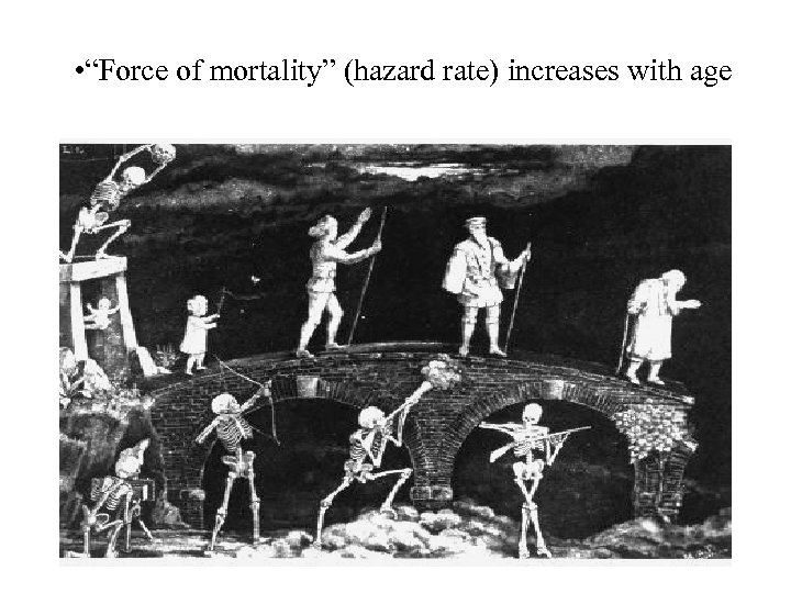  • “Force of mortality” (hazard rate) increases with age 