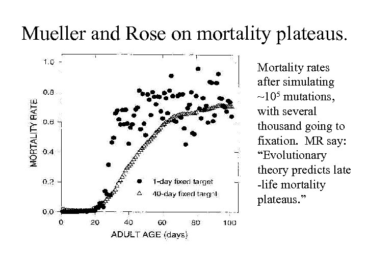 Mueller and Rose on mortality plateaus. Mortality rates after simulating ~105 mutations, with several