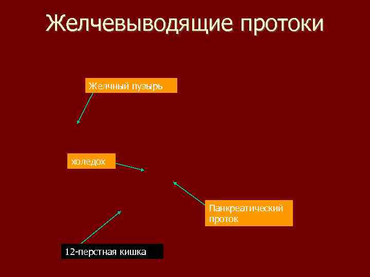 Печеночная колика карта вызова