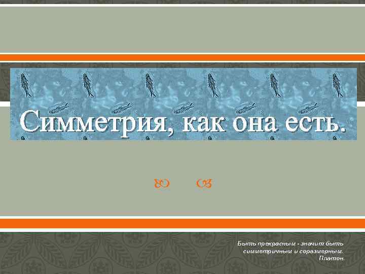 Симметрия, как она есть. Быть прекрасным - значит быть симметричным и соразмерным. Платон. 