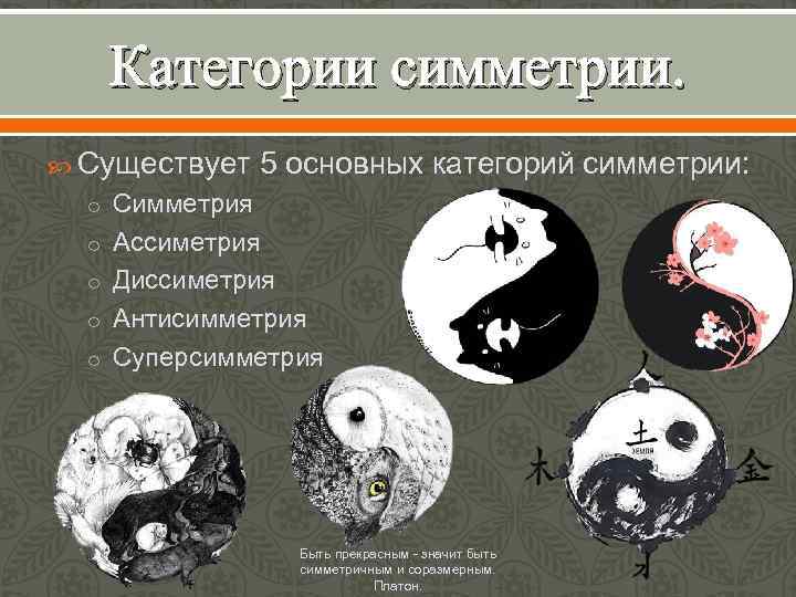 Категории симметрии. Существует 5 основных категорий симметрии: o Симметрия o Ассиметрия o Диссиметрия o