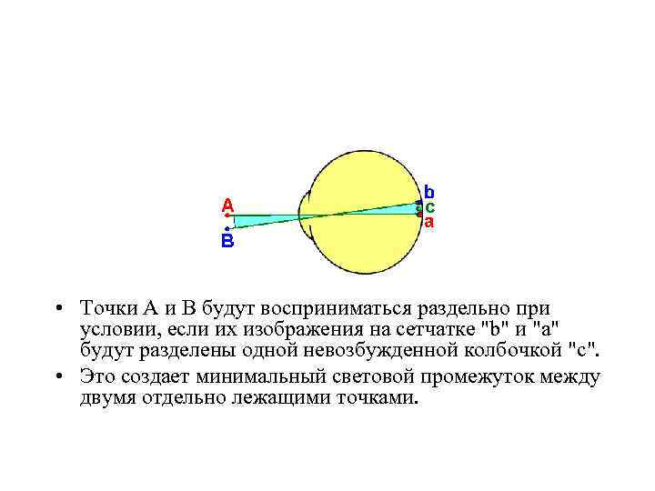  • Точки А и В будут восприниматься раздельно при условии, если их изображения