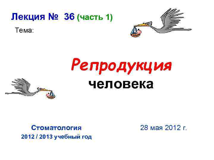 Лекция № 36 (часть 1) Тема: Репродукция человека Стоматология 2012 / 2013 учебный год
