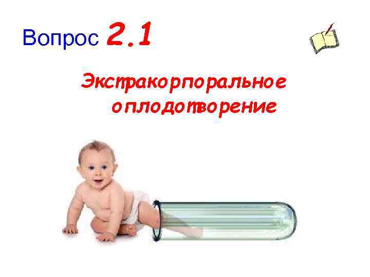 Вопрос 2. 1 Экстракорпоральное оплодотворение 