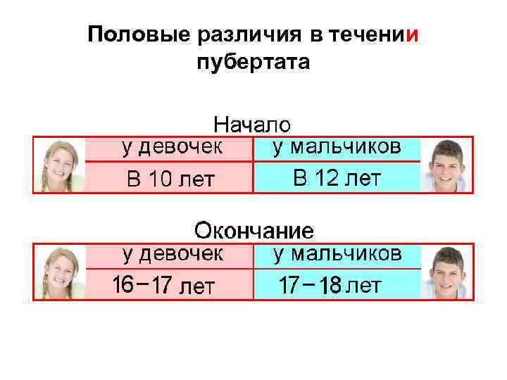 Половые различия в течении пубертата 
