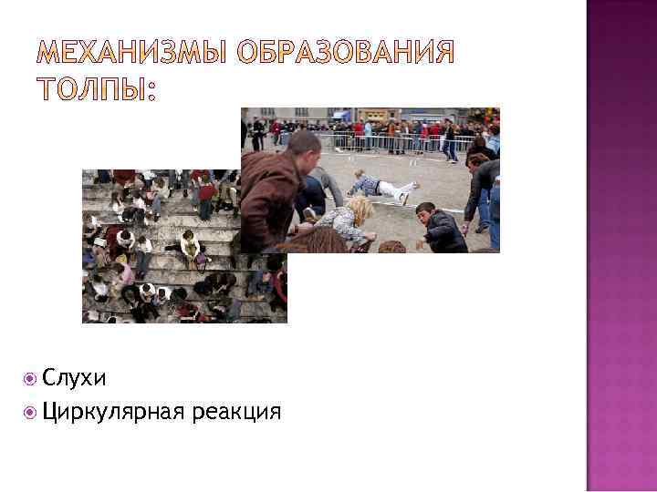  Слухи Циркулярная реакция 