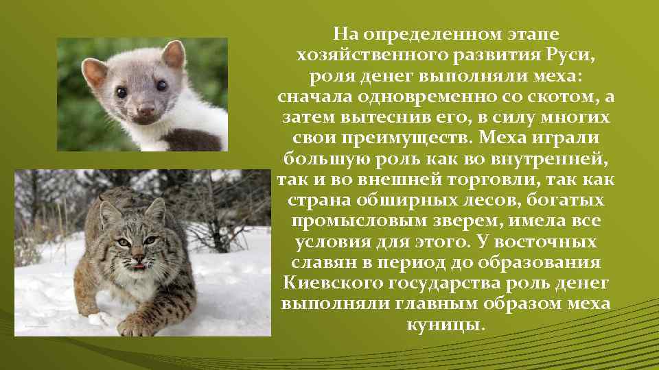 На определенном этапе хозяйственного развития Руси, роля денег выполняли меха: сначала одновременно со скотом,