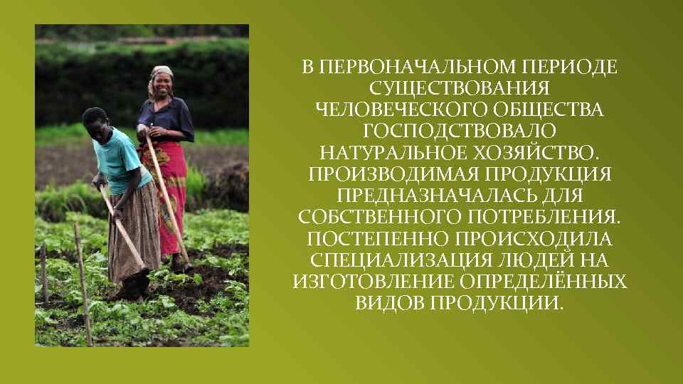 Появление массовой культуры господство натурального хозяйства. Специализация людей. Господствует натуральное хозяйство. Профессии натурального хозяйства. Причины существования натурального хозяйства.