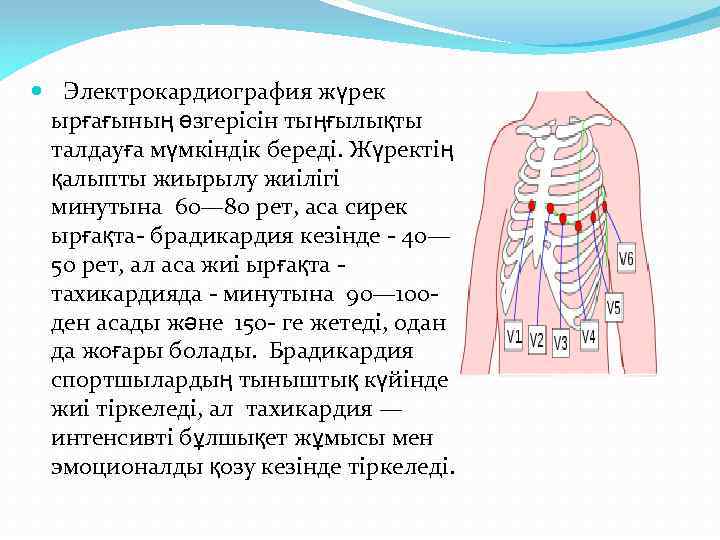  Электрокардиография жүрек ырғағының өзгерісін тыңғылықты талдауға мүмкіндік береді. Жүректің қалыпты жиырылу жиілігі минутына