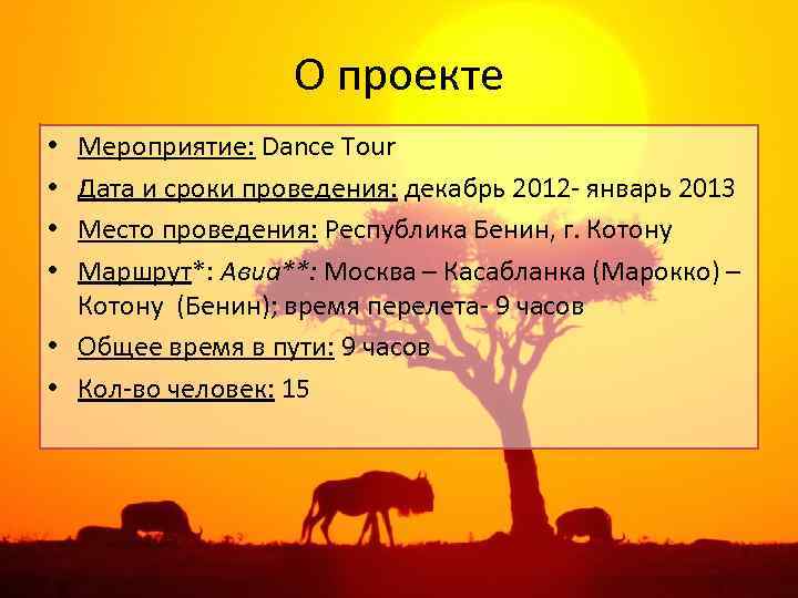 О проекте Мероприятие: Dance Tour Дата и сроки проведения: декабрь 2012 - январь 2013