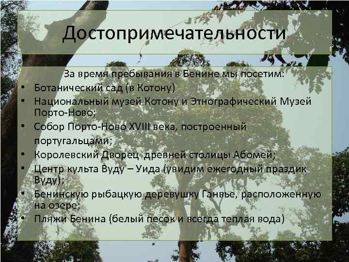 Достопримечательности За время пребывания в Бенине мы посетим: • Ботанический сад (в Котону) •