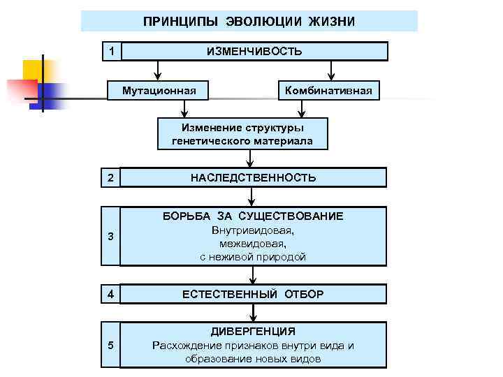 Принципы развития жизни