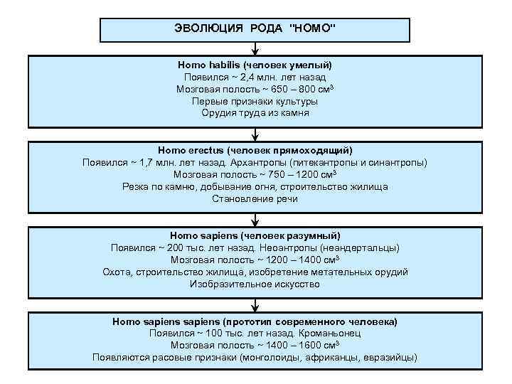 Составьте схему эволюции орудий труда