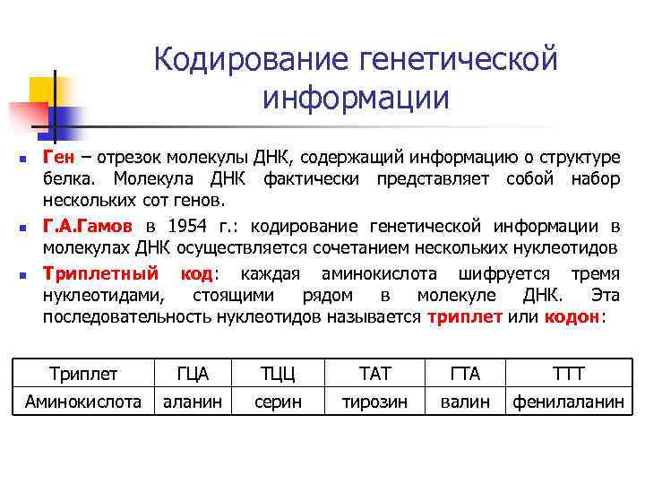 Один триплет днк содержит информацию о