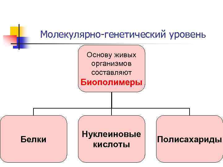 Какие составляющие