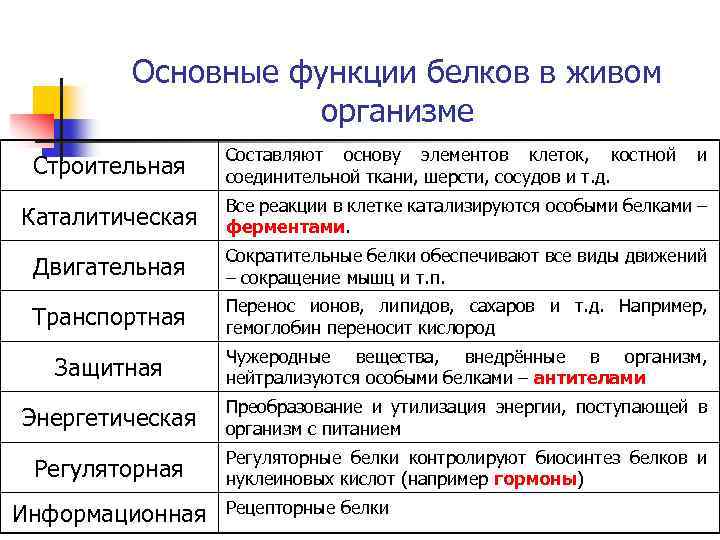 Типы основ по функции