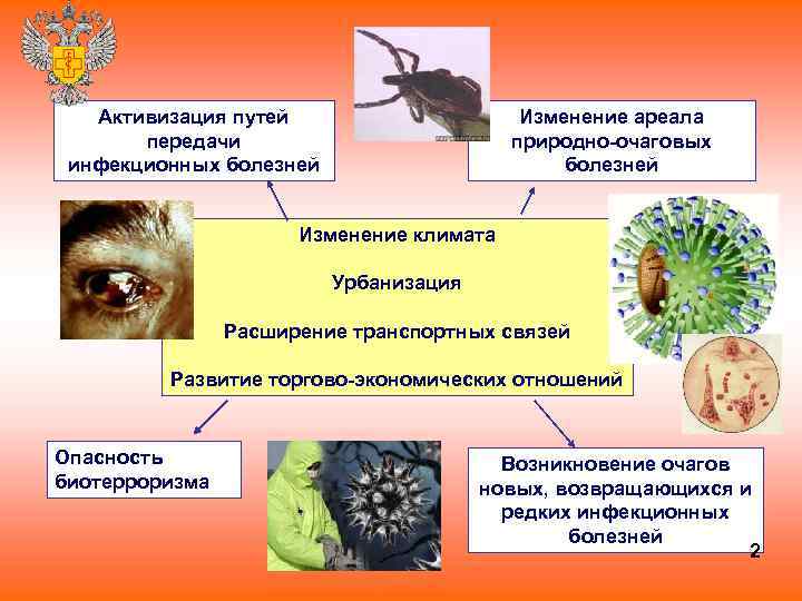 Активизация путей передачи инфекционных болезней Изменение ареала природно-очаговых болезней Изменение климата Урбанизация Расширение транспортных