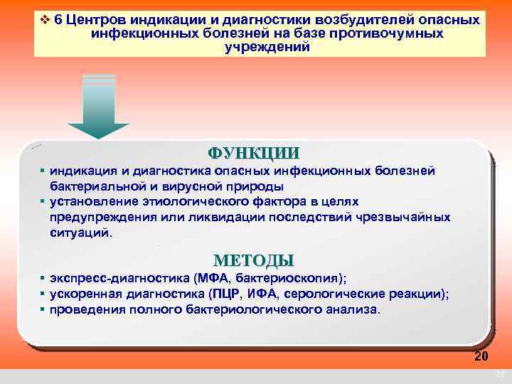 v 6 Центров индикации и диагностики возбудителей опасных инфекционных болезней на базе противочумных учреждений