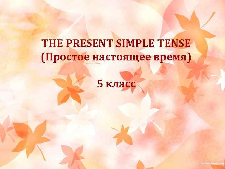 THE PRESENT SIMPLE TENSE (Простое настоящее время) 5 класс 