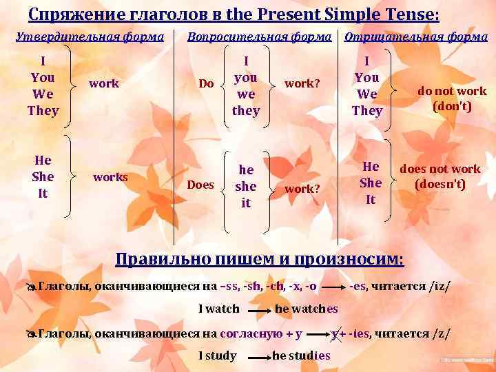 Спряжение глаголов в the Present Simple Tense: Утвердительная форма I You We They He