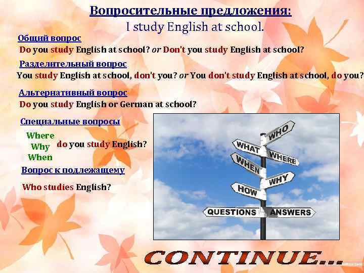 Вопросительные предложения: I study English at school. Общий вопрос Do you study English at