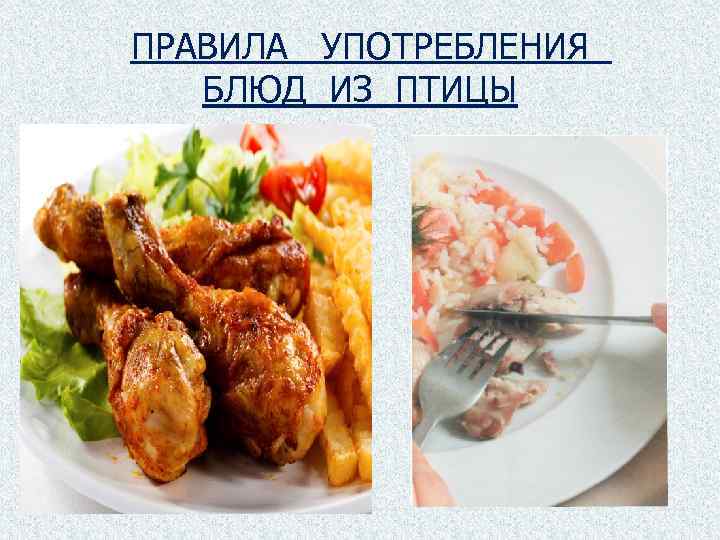ПРАВИЛА УПОТРЕБЛЕНИЯ БЛЮД ИЗ ПТИЦЫ 