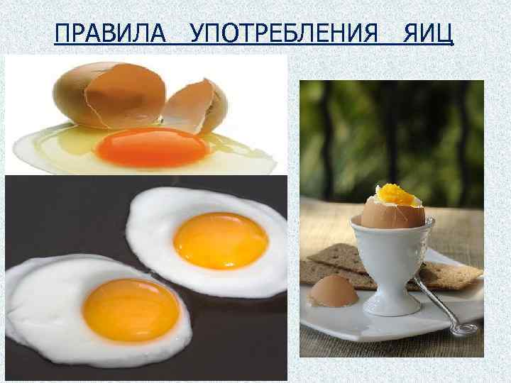 ПРАВИЛА УПОТРЕБЛЕНИЯ ЯИЦ 
