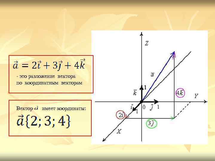 - это разложение вектора по координатным векторам Вектор имеет координаты: 