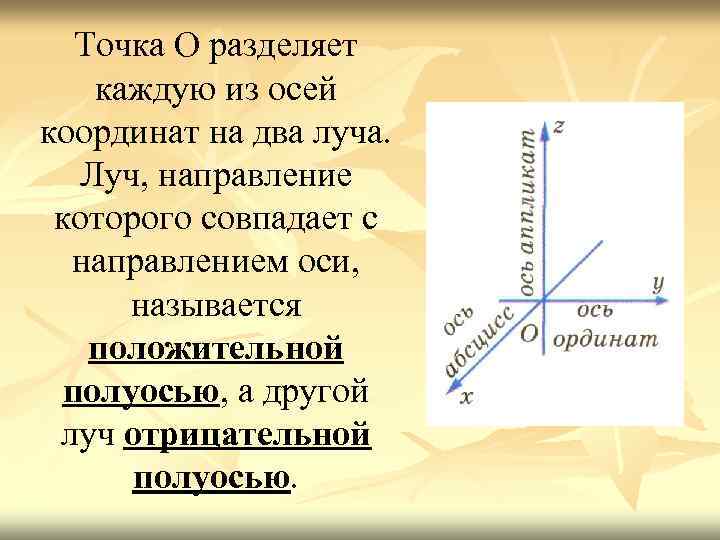 Точка О разделяет каждую из осей координат на два луча. Луч, направление которого совпадает