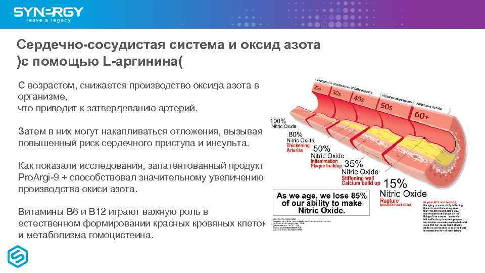 Сердечно-сосудистая система и оксид азота )с помощью L-аргинина( С возрастом, снижается производство оксида азота